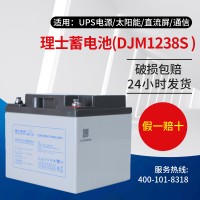 理士DJM1238S直流屏UPS电源EPS外接电池免维护铅酸蓄电池12 V38AH