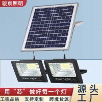 太阳能灯一拖二家用户外新庭院灯LED超亮防水投光灯室内外照明