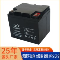 天畅12V40AH胶体蓄电池太阳能ups直流屏eps电瓶代38AH铅酸蓄电池