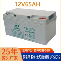 蓄电池工厂生产制造天畅12V65AH深循环胶体蓄电池太阳能UPS大电瓶