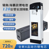 外贸出口银鱼海霸款代驾折叠电动自行车电池48V20ah30ah锂电池组