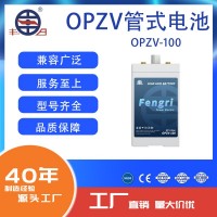 丰日管式电池 OPZV系列 2V100Ah