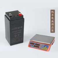 道特4V4AH/20hr充电电瓶电子秤电池4v商用台称免维护铅酸蓄电池