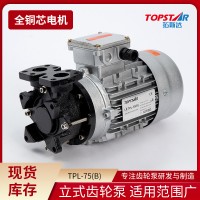 厂家定制高温水泵TPL-75B立式齿轮泵 热油循环泵 雷射冷却泵批发